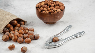 Macadamia Nuts in Shell