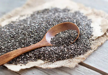 Chia seed pudding with blueberry sauce and roasted macadamia nuts