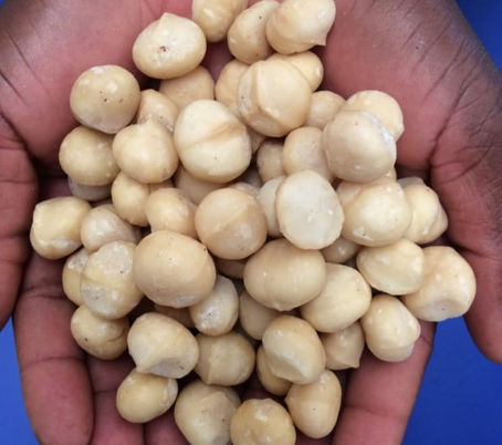 Raw vs Roasted Nuts: A comprehensive nutritional guide