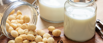 Cardiovascular Health Benefits of Macadamia Nuts | Elgon Nuts