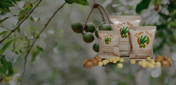 Where Do Macadamia Nuts Come From? | Elgon Nuts