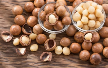 Why Macadamia Nut Snacks Are the Ultimate Brain-Boosting Powerhouse (And How to Choose the Best)