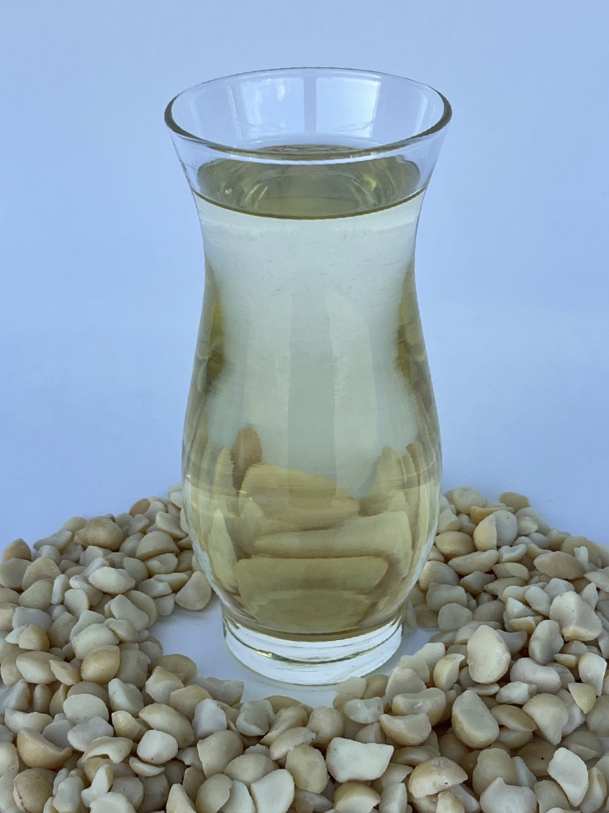 Clear glass vase filled with golden macadamia nut oil, surrounded by raw macadamia nuts on a light background.