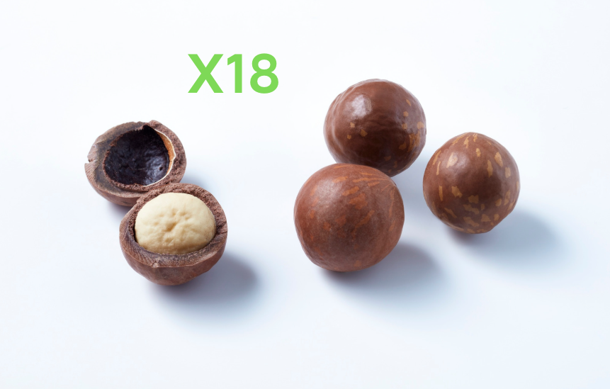 1 oz Chocolate Covered Macadamia Nuts