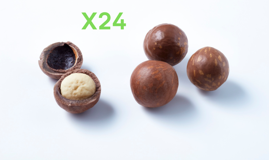 1 oz Chocolate Covered Macadamia Nuts