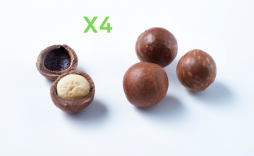 4 oz Chocolate Covered Macadamia Nuts