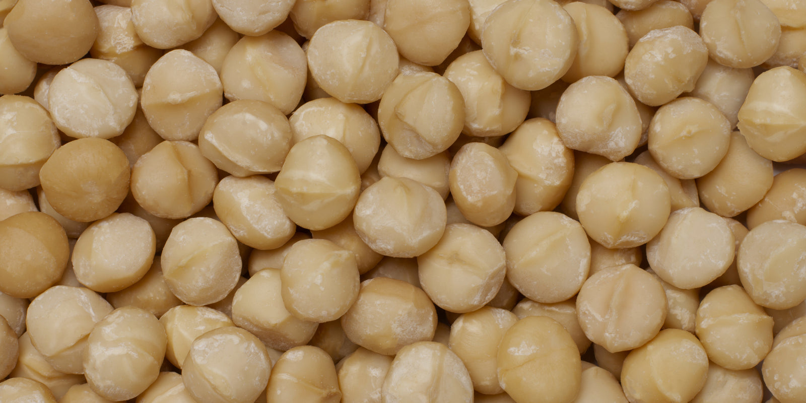 Elgon Nuts macadamia product lineup